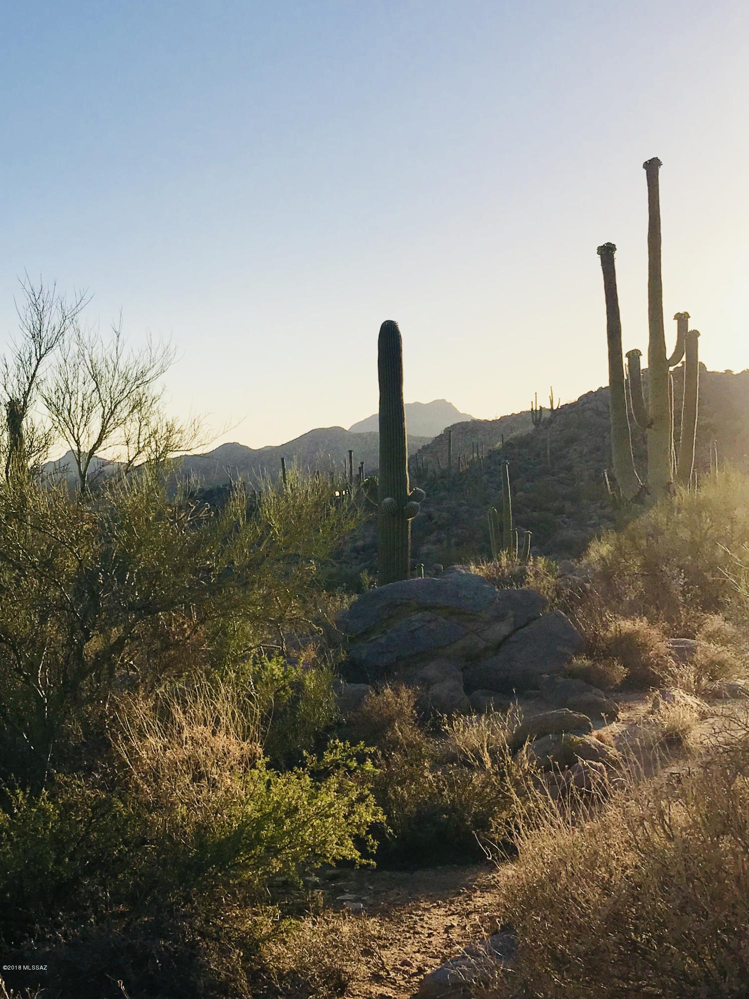 Stone Canyon VII (404-485) - Land