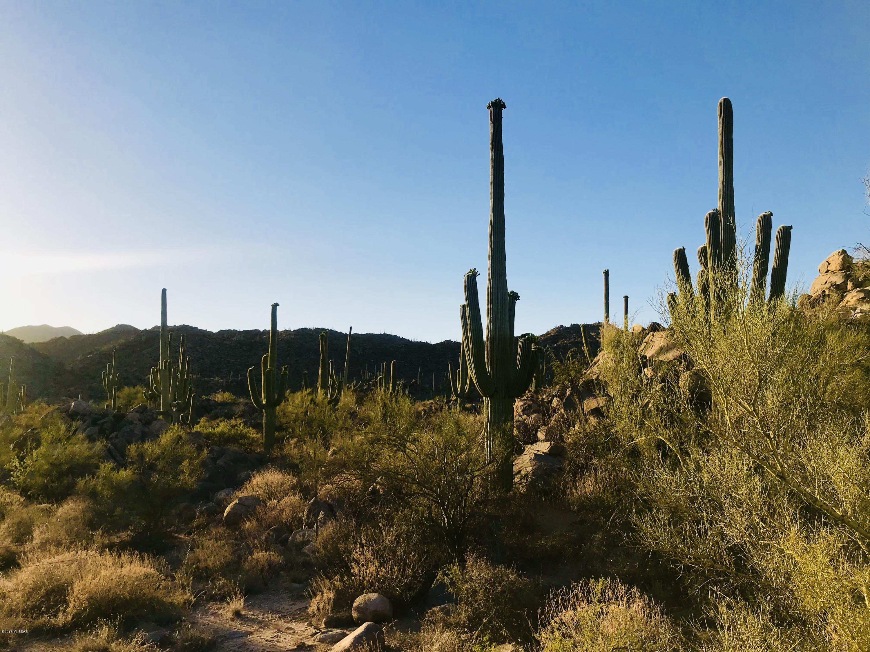 Stone Canyon VII (404-485) - Land