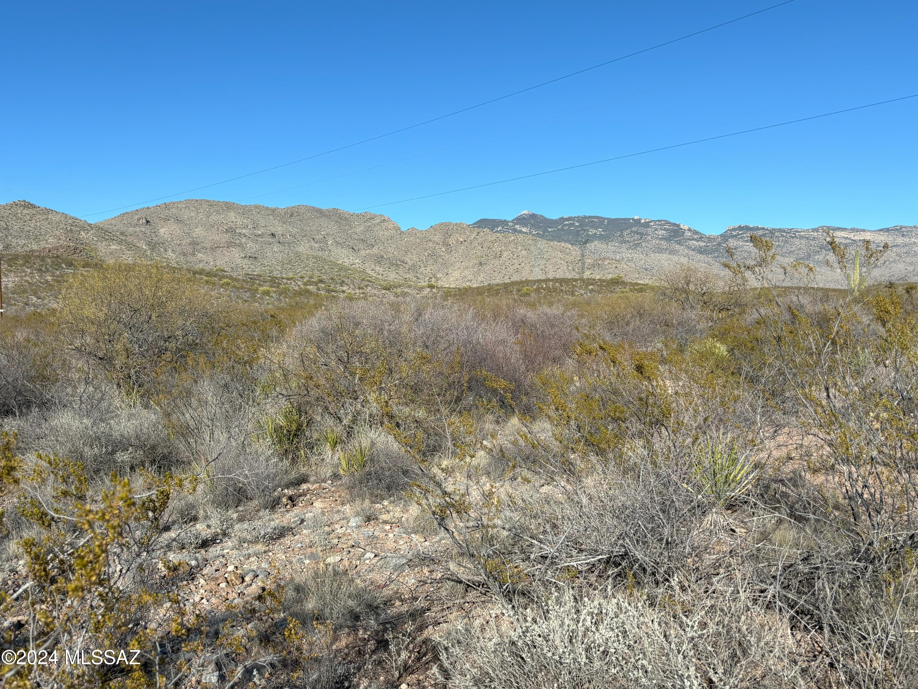 VIEWS OF THE RINCONS wrap around this land! Fantastic price for 15 acres! Electric service poles along 2 boundaries. South 1/3 of the property is flat with easily traveled access from Agua Verde Rd. North part of the property rises along a ridge. Abuts state land along East lot line. Grassy land w/ mesquites but little cactus. Elevation is 3500ft. Zoning is RH & allows flexibility in your choice of dwelling. Most neighbors in view are custom built but, manuf, mobile & tiny homes are possible. Hunt, hike, ride quads or horses - public land access is excellent see map in photos. Water in the area is by private well or, set up hauled water until you're ready to drill. A septic design & permit was approved in 2021 but has not been installed. Freedom awaits!