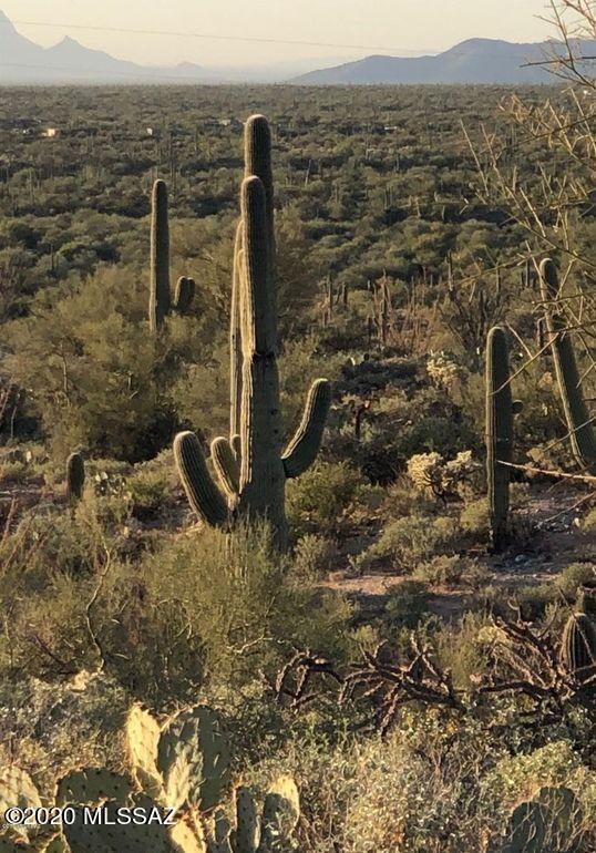 Out Of Pima County - Land