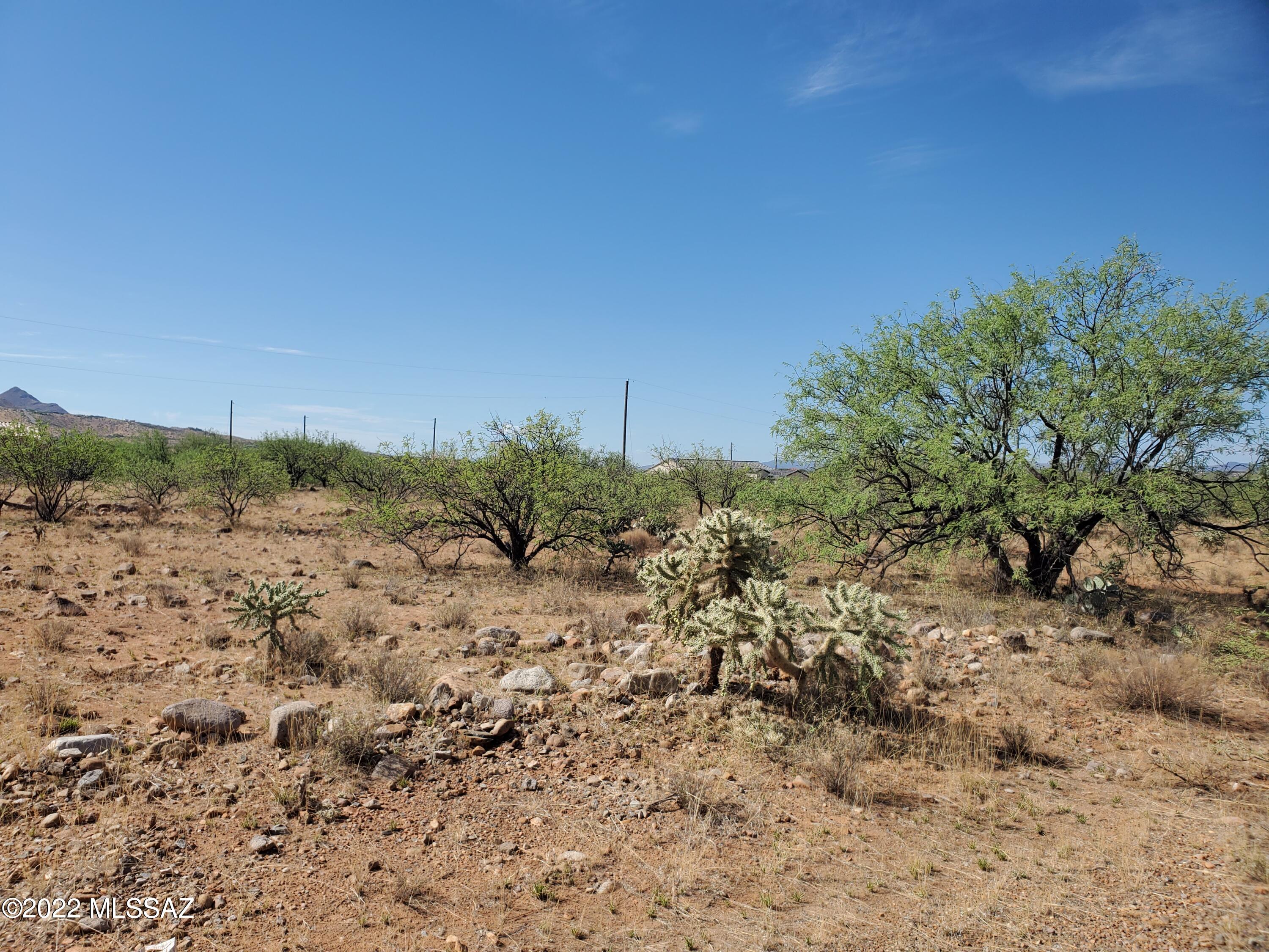 Rio Rico Villas 11 - Land