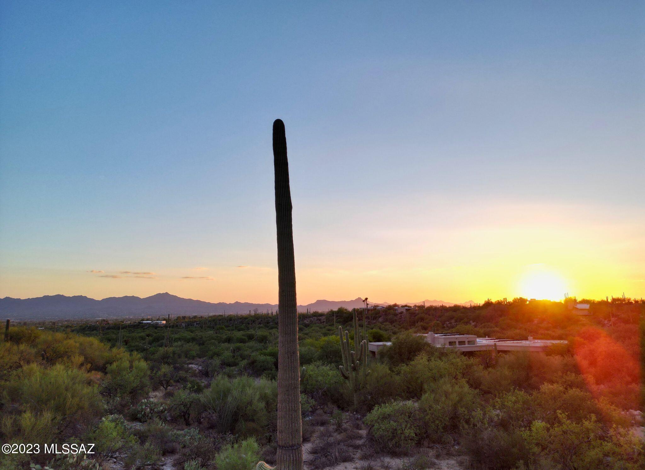 Pima Canyon Estates (324-330) - Land