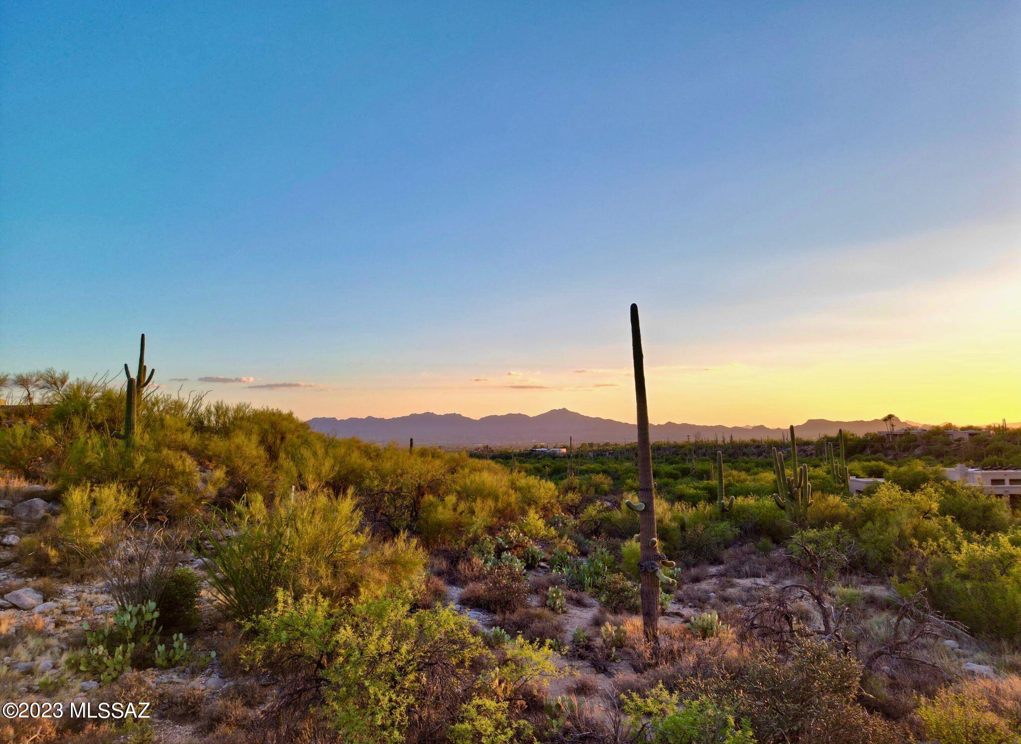 Pima Canyon Estates (324-330) - Land
