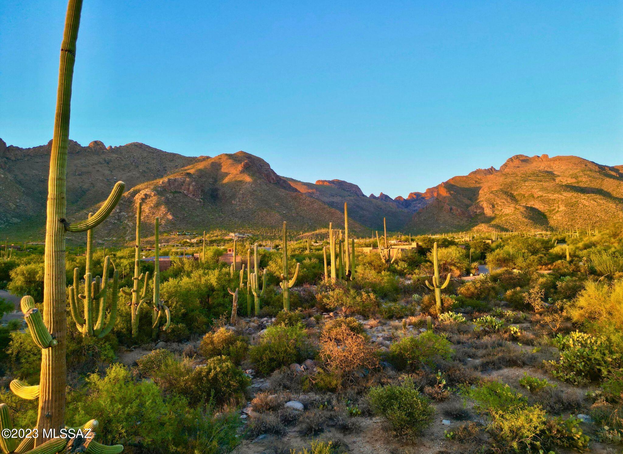 Pima Canyon Estates (324-330) - Land