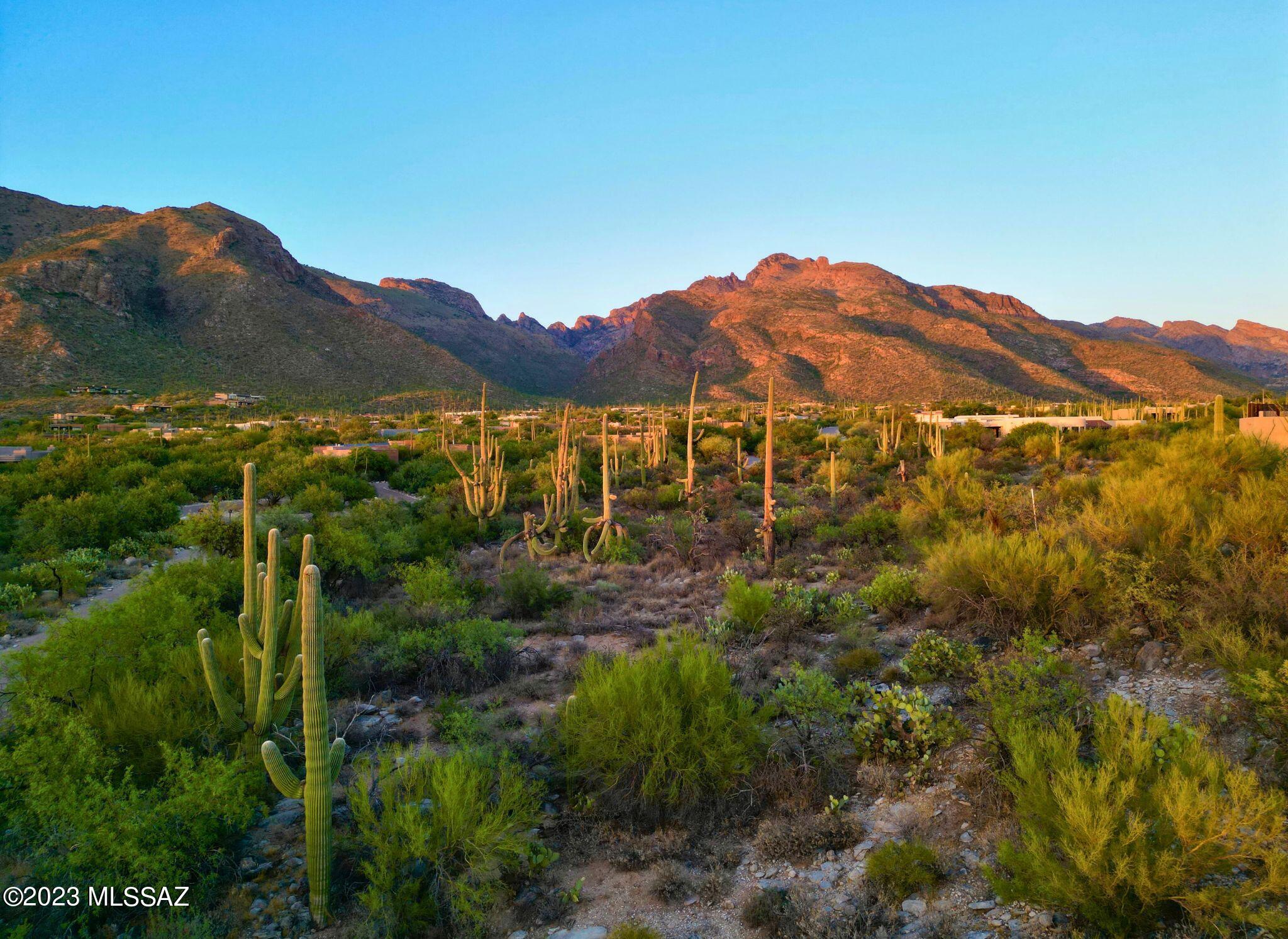 Pima Canyon Estates (324-330) - Land