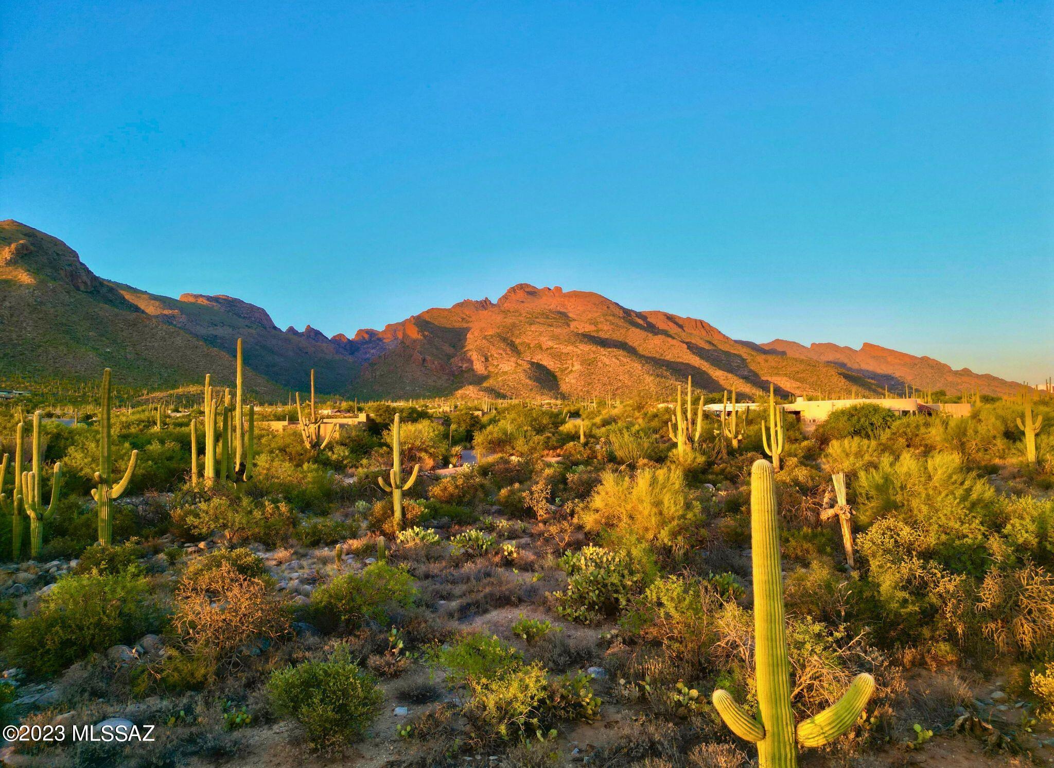 Sweeping mountain views from this 2.32-acre saguaro studded cul-de-sac lot in the highly desirable Pima Canyon Estates. Complete privacy and exclusivity await behind the second gate of this custom luxury home community in the Catalina Foothills. Design your dream home to showcase the stunning sunsets, majestic saguaros, twinkling city lights and dramatic rock formations of the Santa Catalina mountain range. Just minutes from La Paloma Golf Course, La Encantada shopping and acclaimed restaurants, you will still feel the peacefulness of this lot tucked away at the base of the mountain.