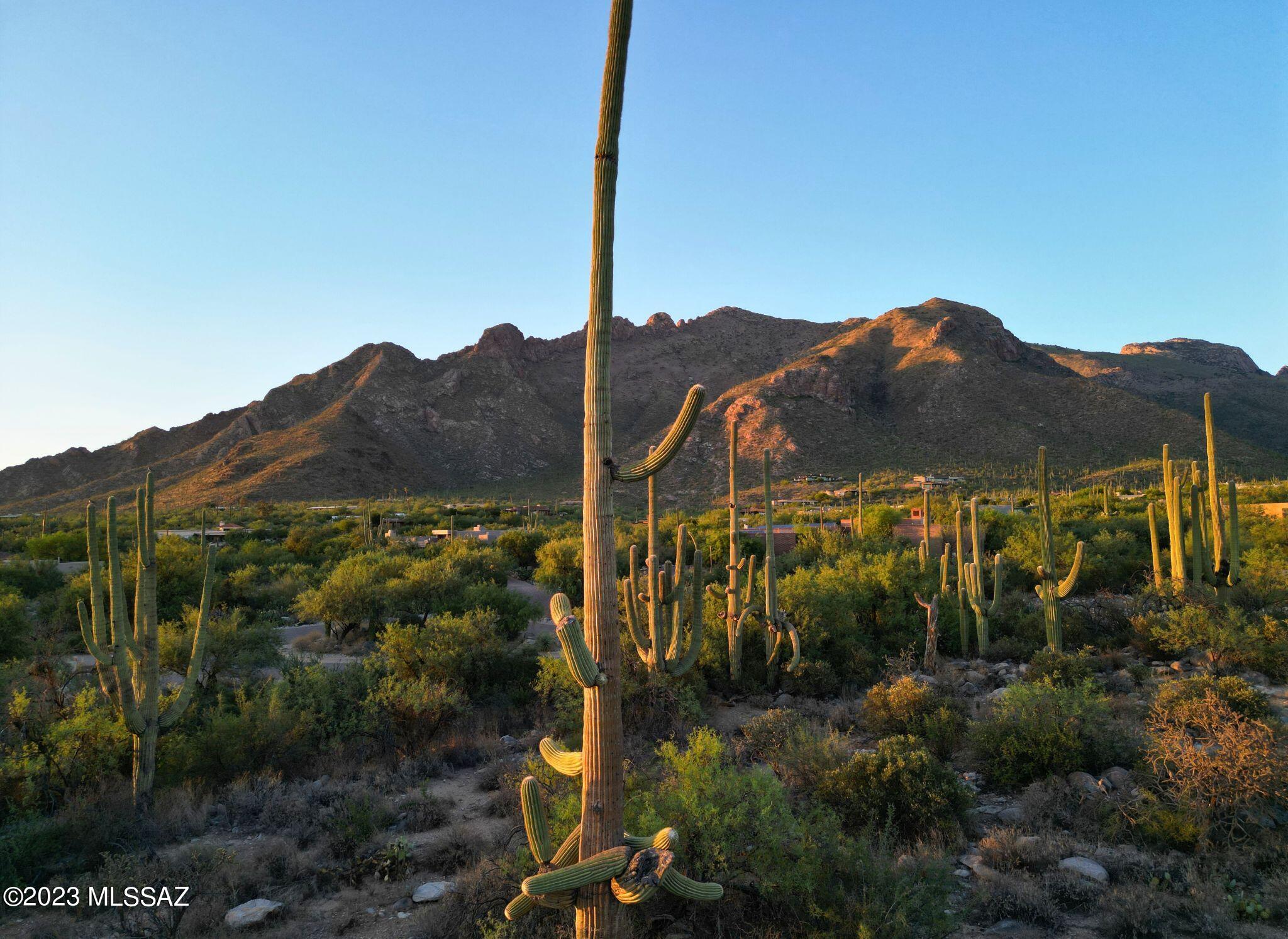 Pima Canyon Estates (324-330) - Land