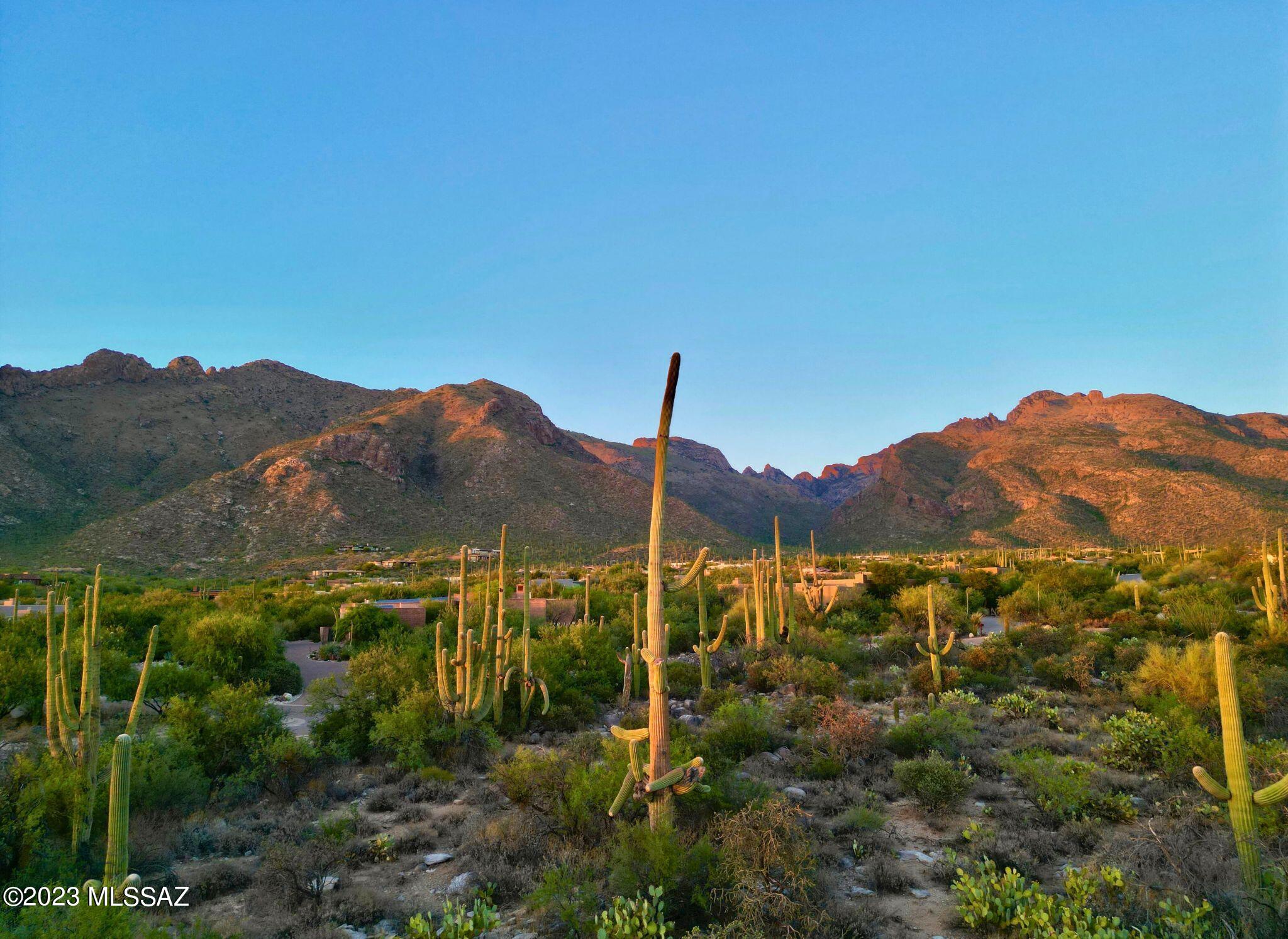 Pima Canyon Estates (324-330) - Land