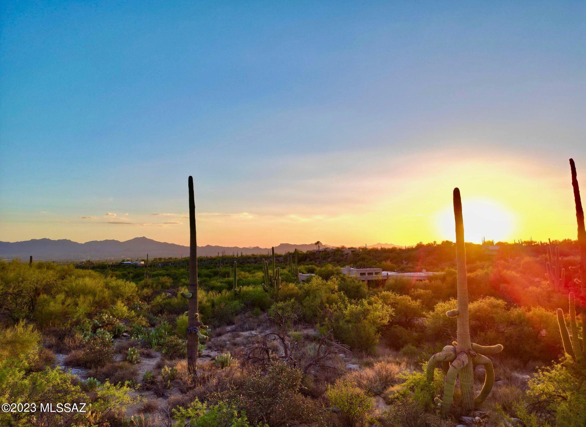 Pima Canyon Estates (324-330) - Land