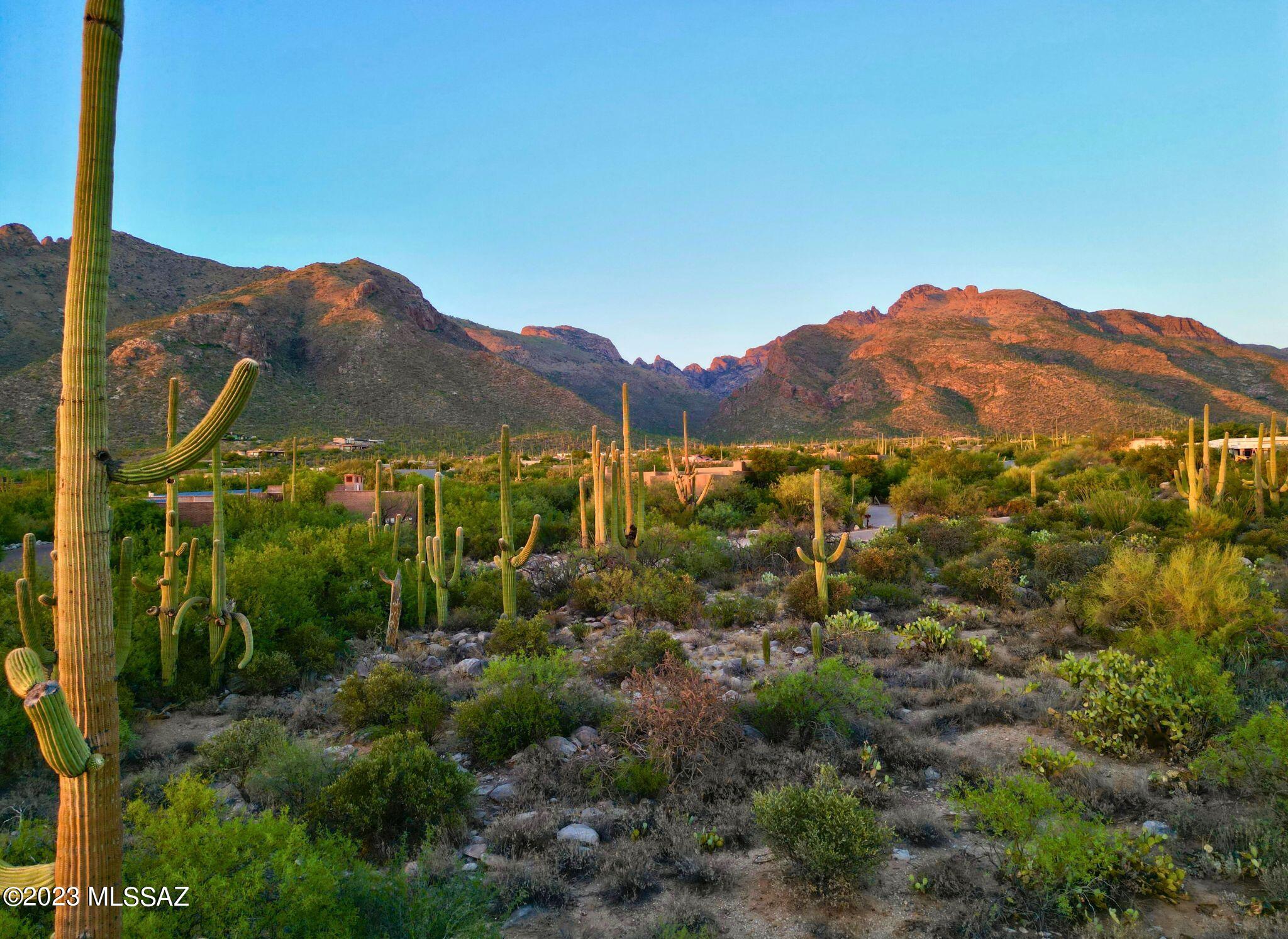 Pima Canyon Estates (324-330) - Land