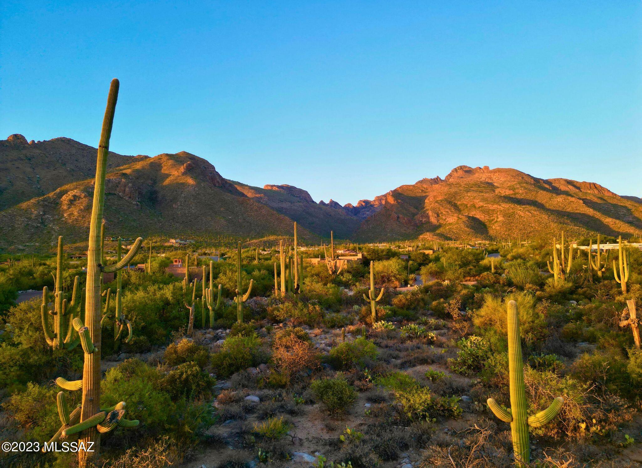 Pima Canyon Estates (324-330) - Land