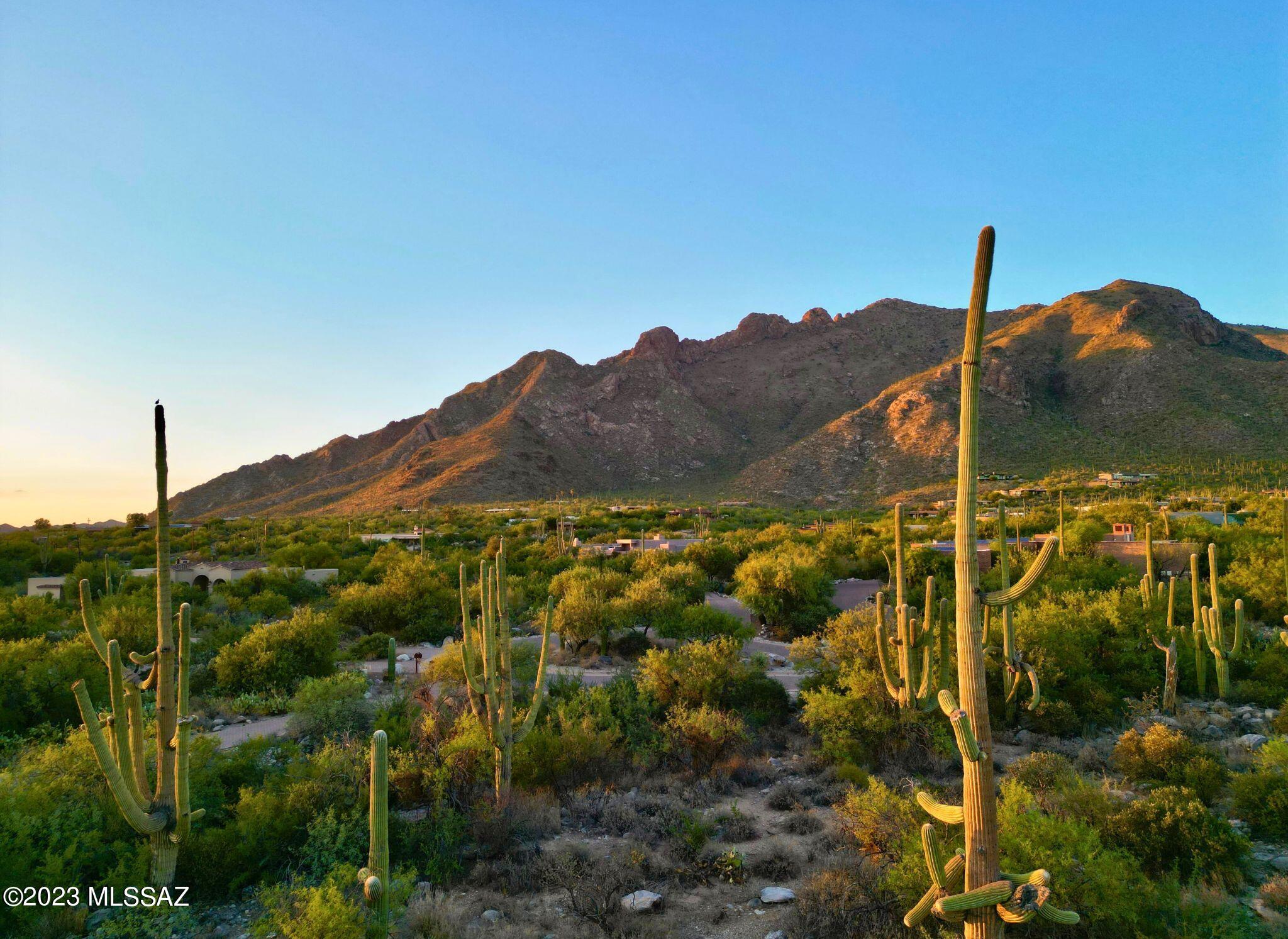 Pima Canyon Estates (324-330) - Land