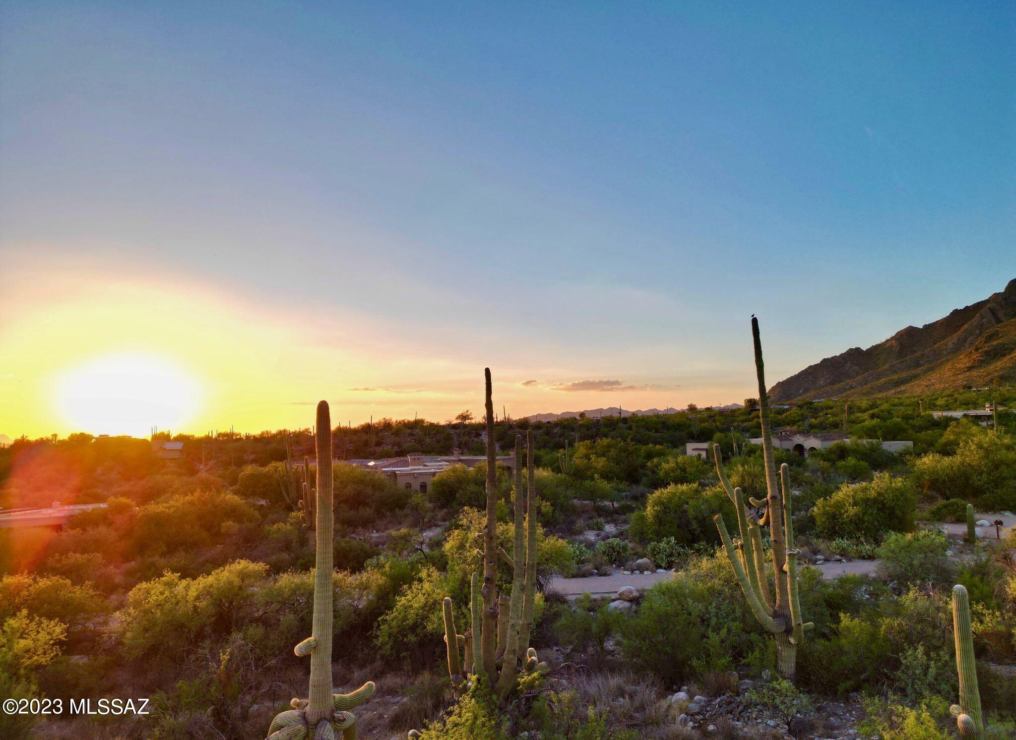 Pima Canyon Estates (324-330) - Land
