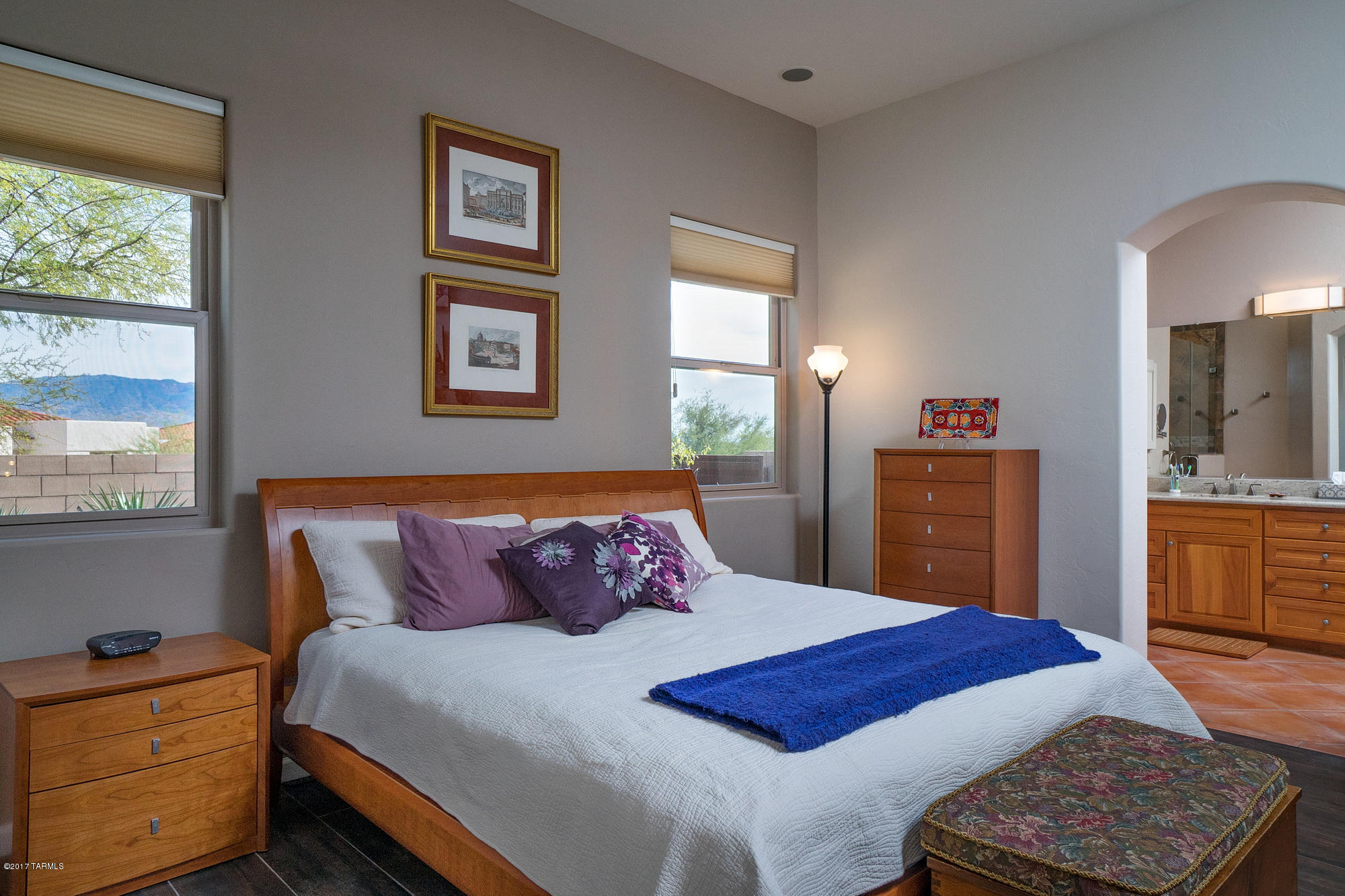 Canyon Springs at Sabino Springs (1-61) - Residential