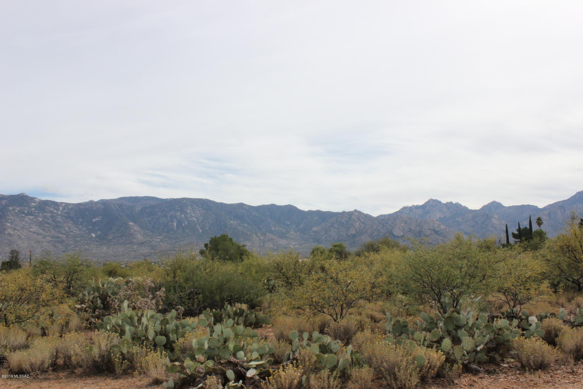 Beautiful property that offers lush vegetation and Stunning views of those majestic Catalina mountains, just waiting for the right future custom home..Just east of Bashas Shopping Center. Adjacent Parcels (7.5 acres) are also available.