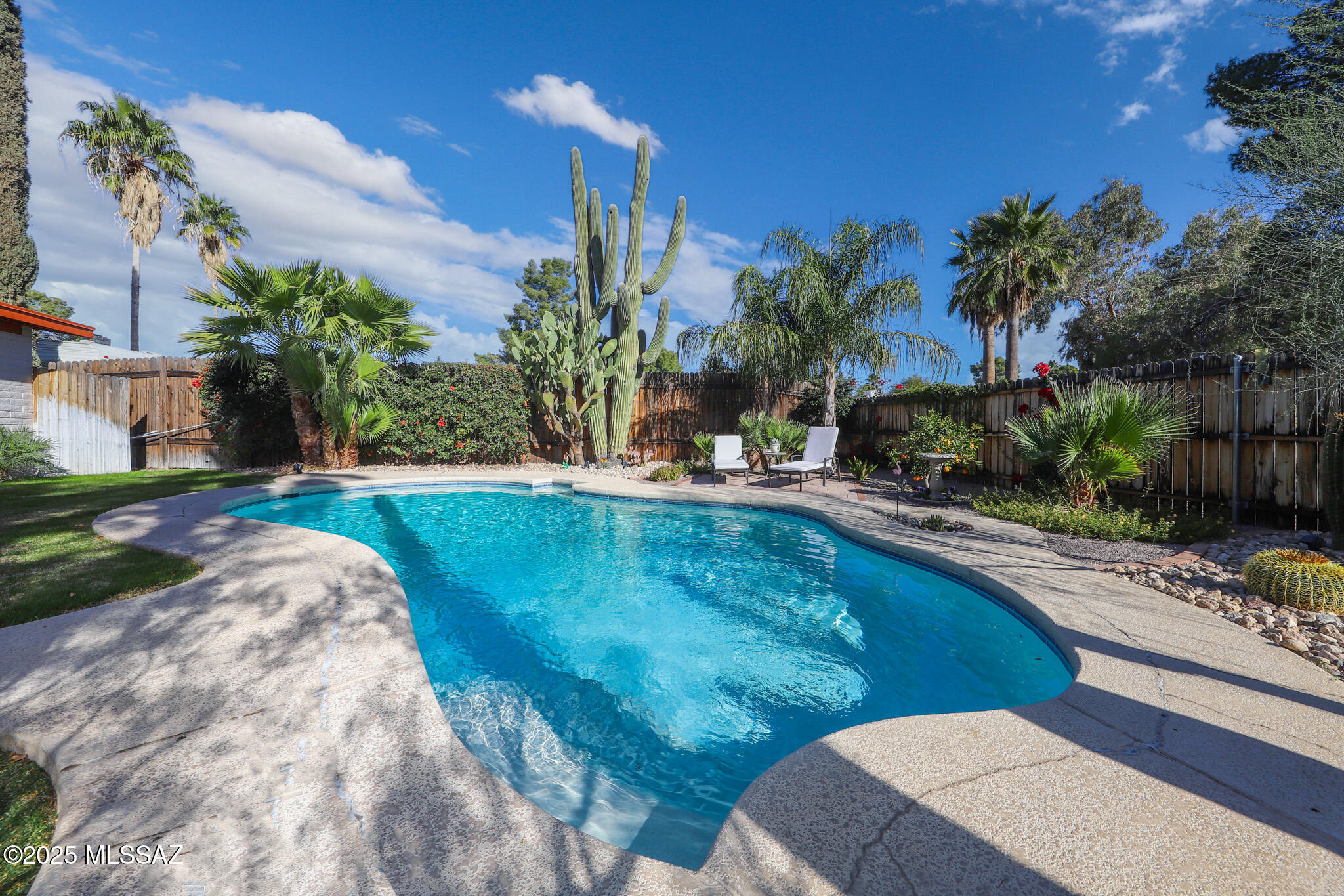 Olive Grove (596-684) - Residential