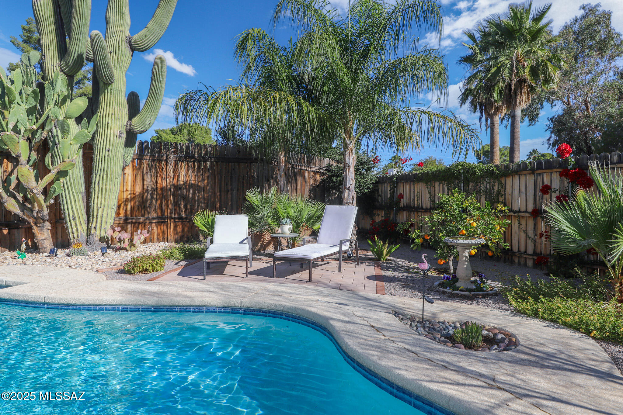 Olive Grove (596-684) - Residential