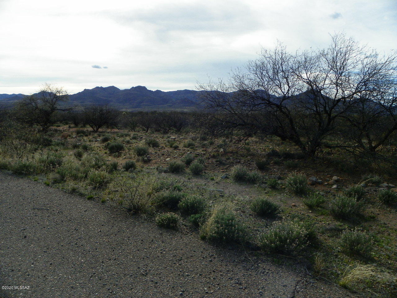 Rio Rico Villas 11 - Land