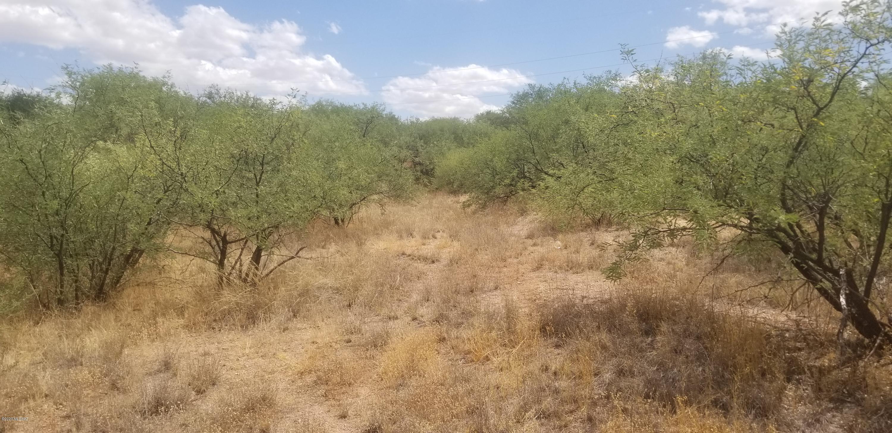 Rio Rico Estates 11 - Land