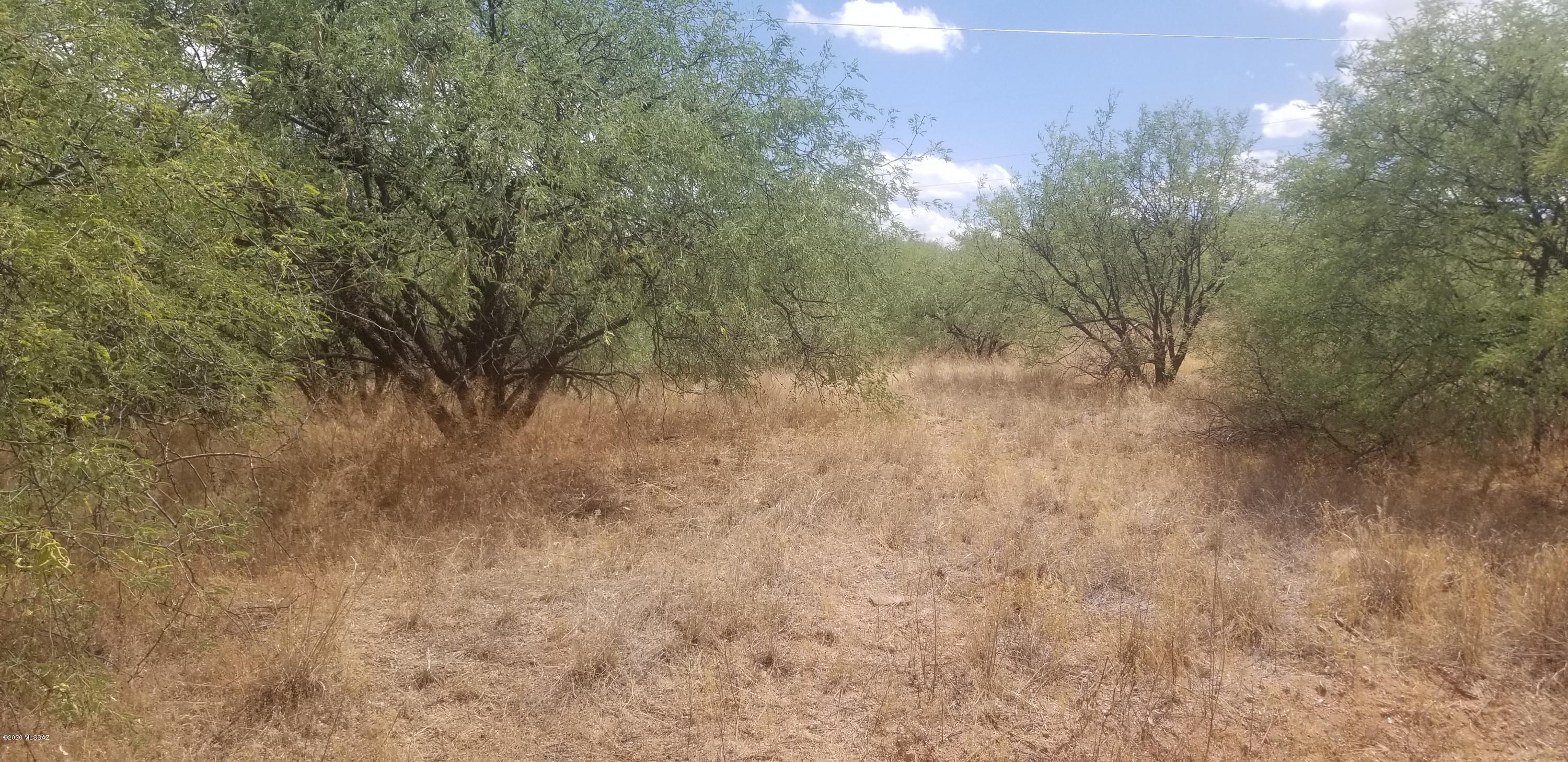 Great Building Lot in desirable Rio Rico Estaes 11. Close to I-19 and all ammenities. Come see for yourself this is where you want to buid your Dream Home. Over Half an Acre.