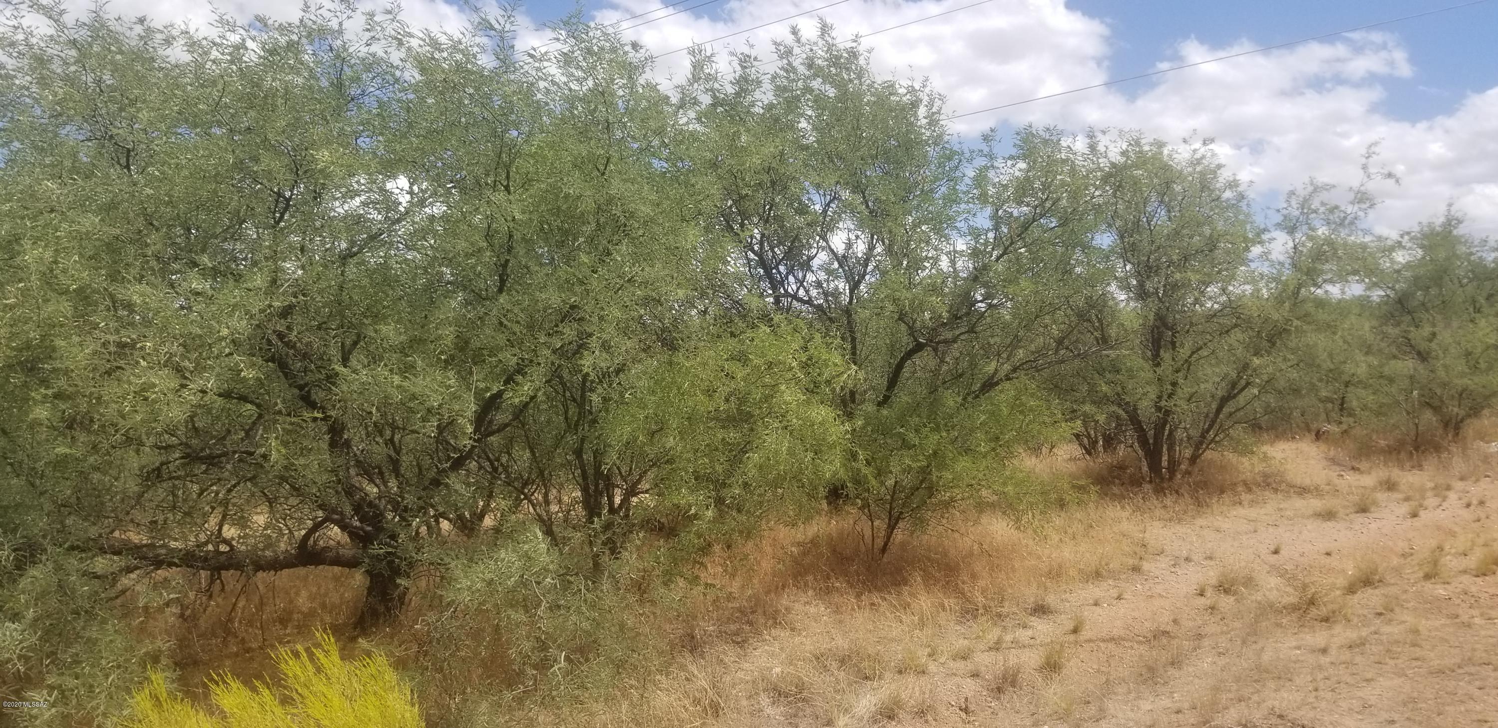 Rio Rico Estates 11 - Land