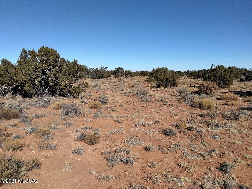 Out Of Pima County - Land