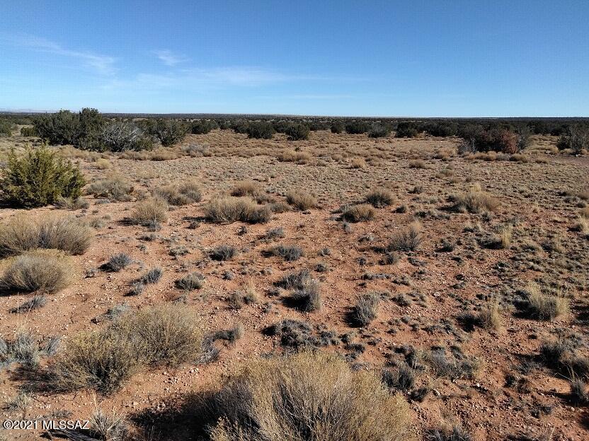 Out Of Pima County - Land