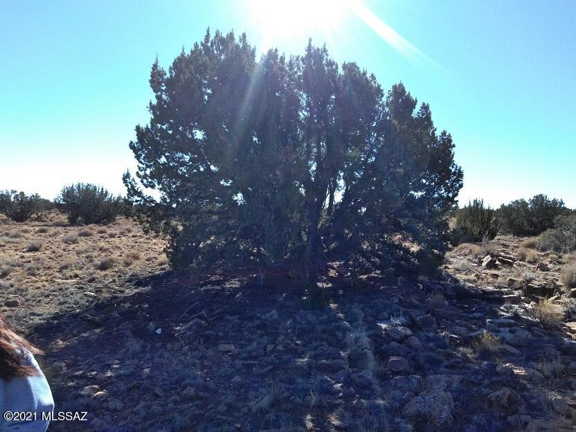 Out Of Pima County - Land