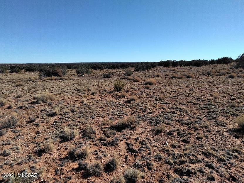 Out Of Pima County - Land