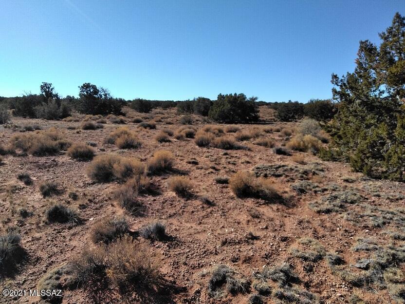 Out Of Pima County - Land