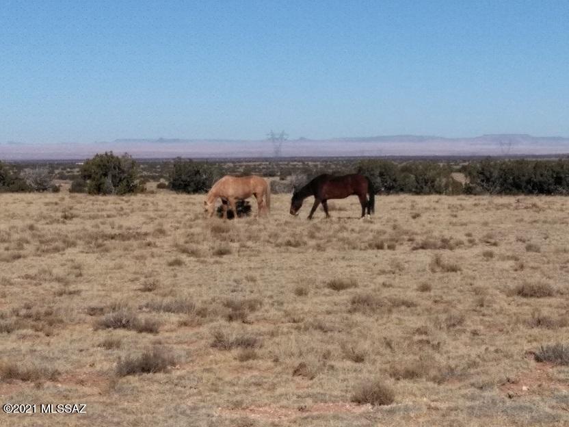 Out Of Pima County - Land