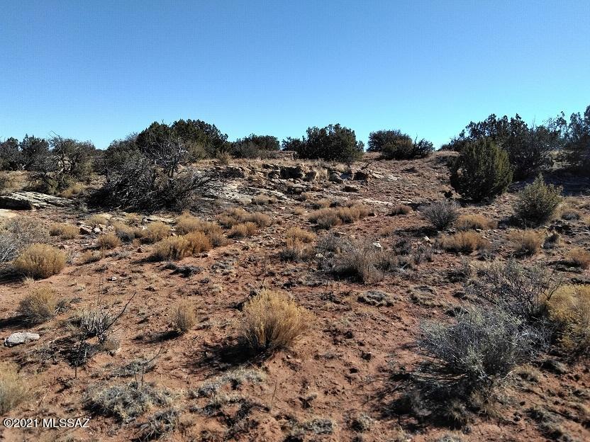 Out Of Pima County - Land