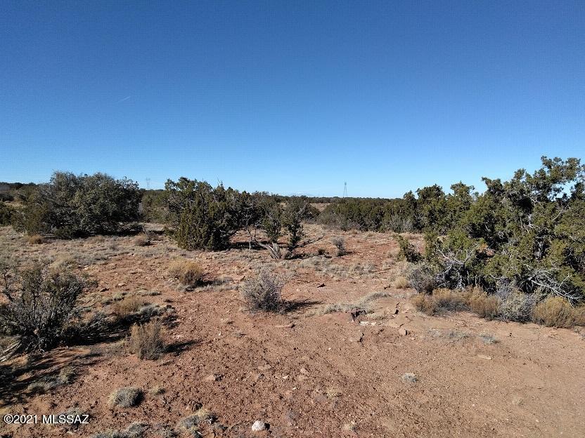 Out Of Pima County - Land