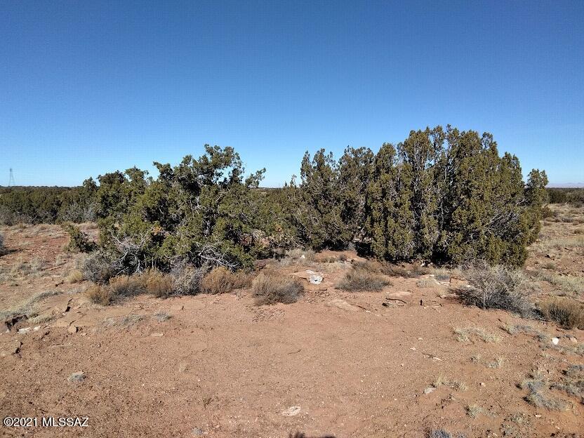 Out Of Pima County - Land