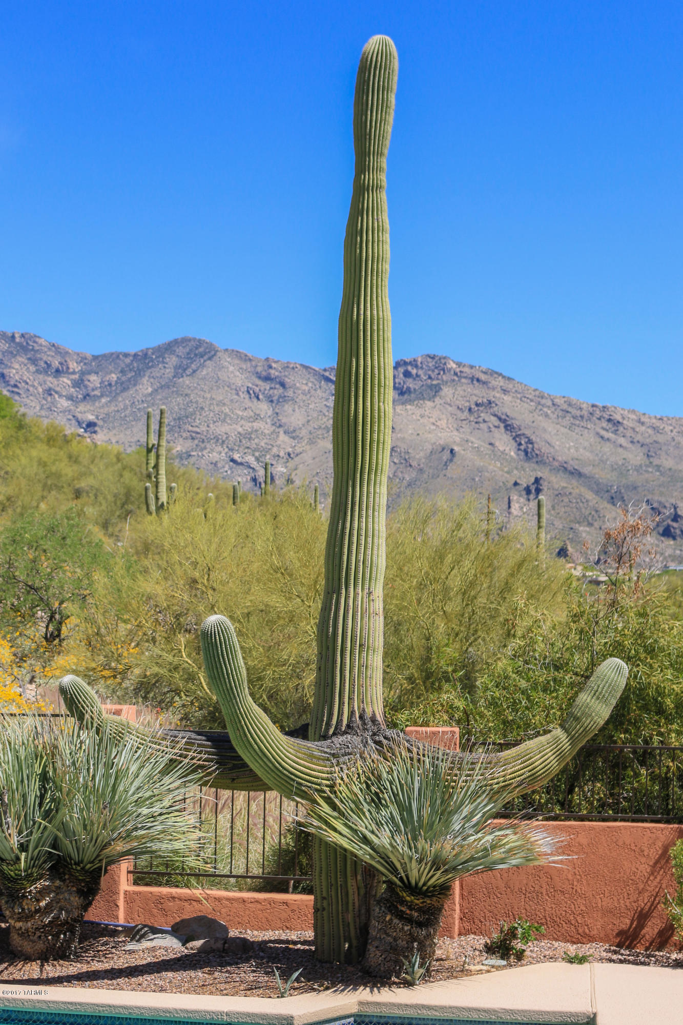 Cimarron Foothills Estates (1-97) - Residential