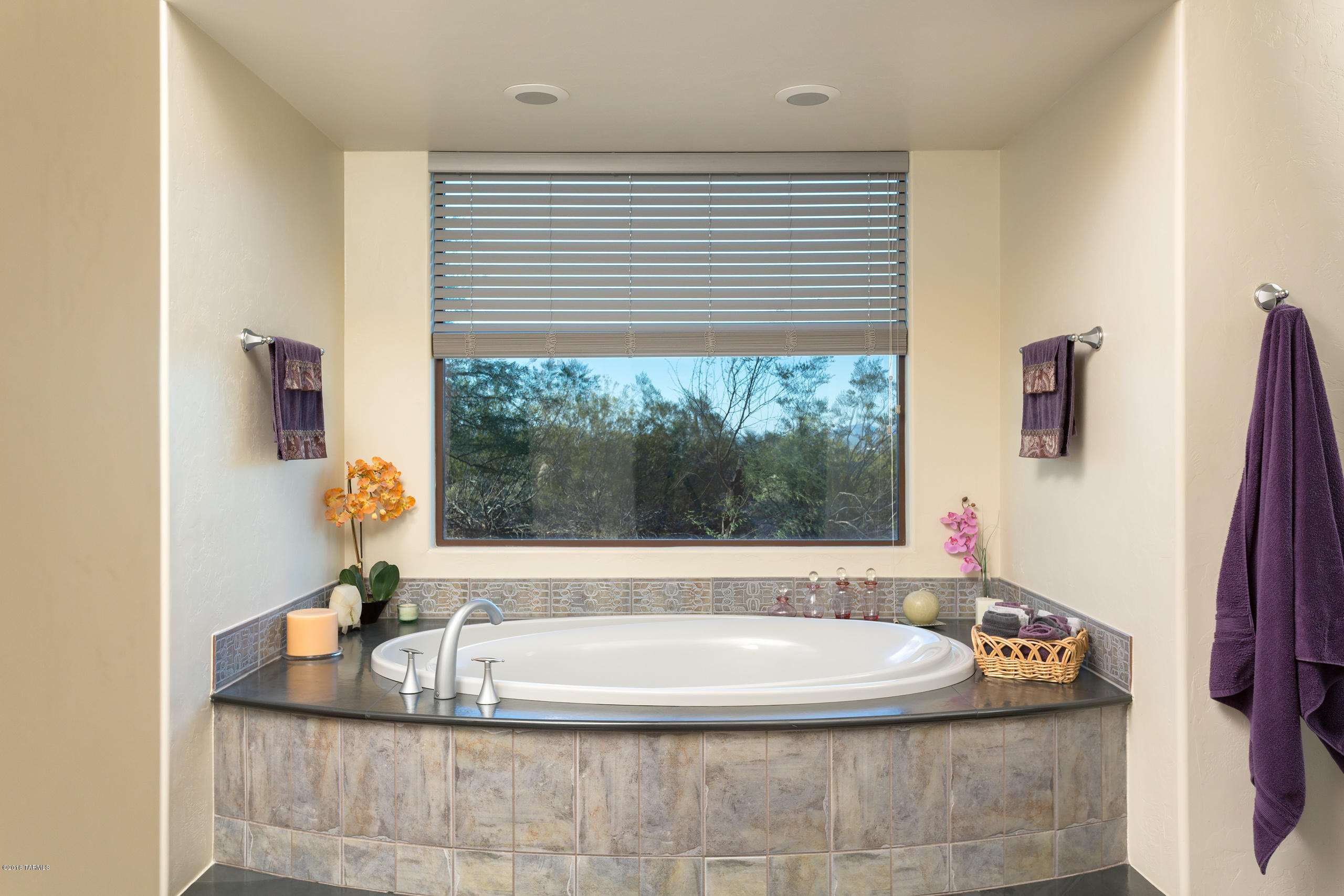 Tucson Mountain Reserve (1-124) - Residential