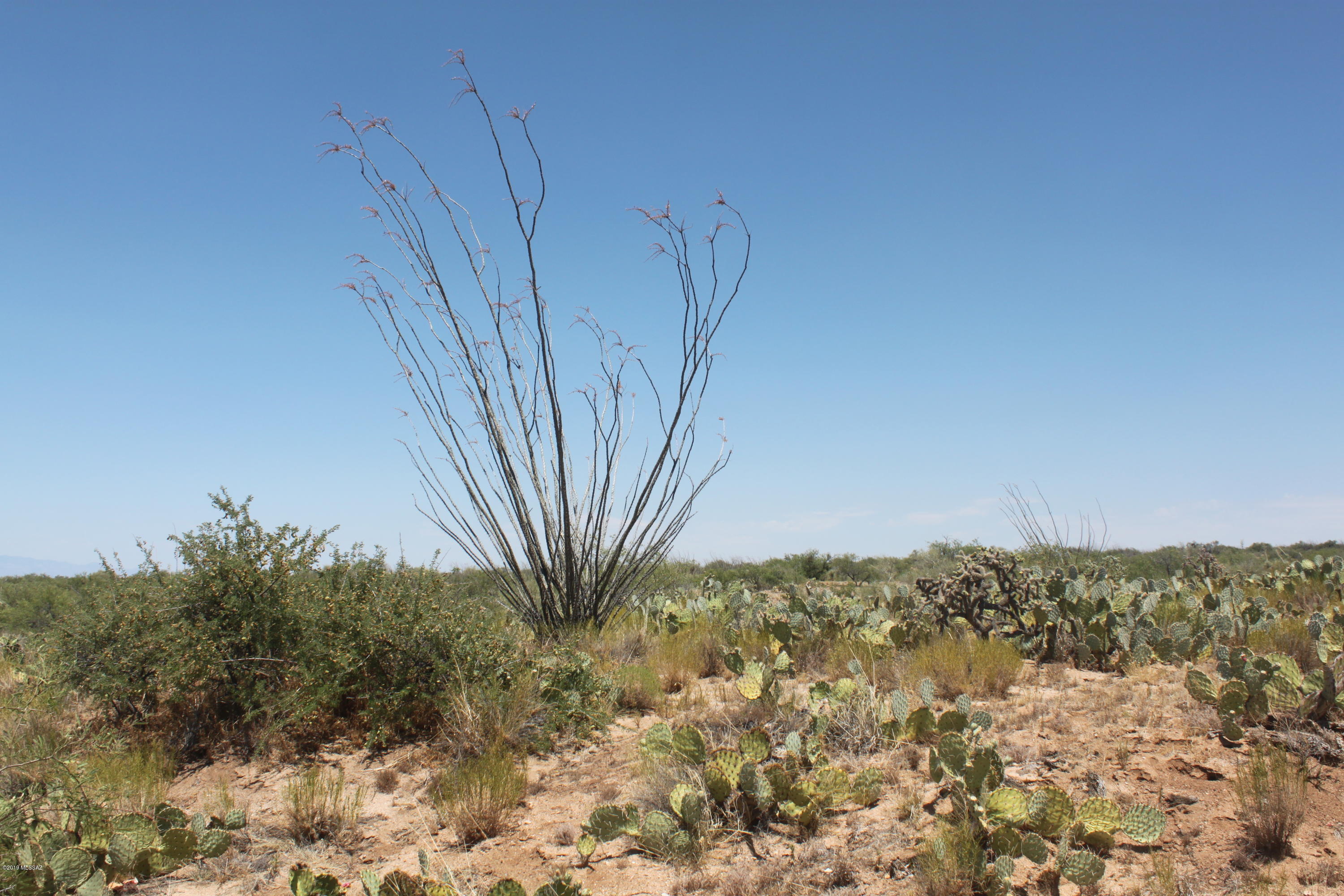 Diamond Bell Ranch - Tucson Unit 3 (1-409) - Land