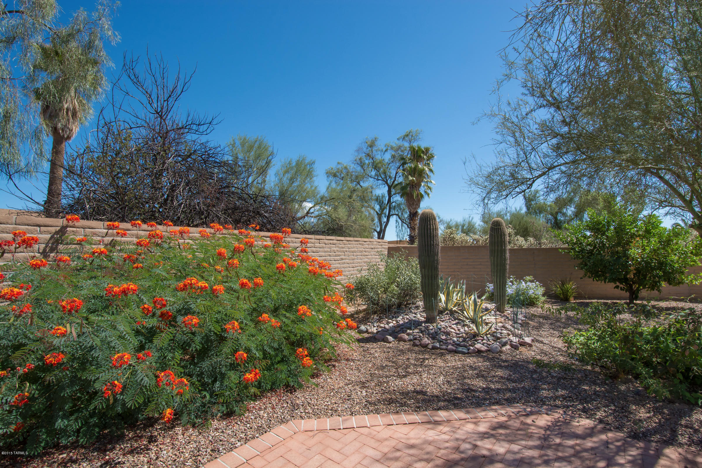 Casas Adobes Country Club Est. - Residential