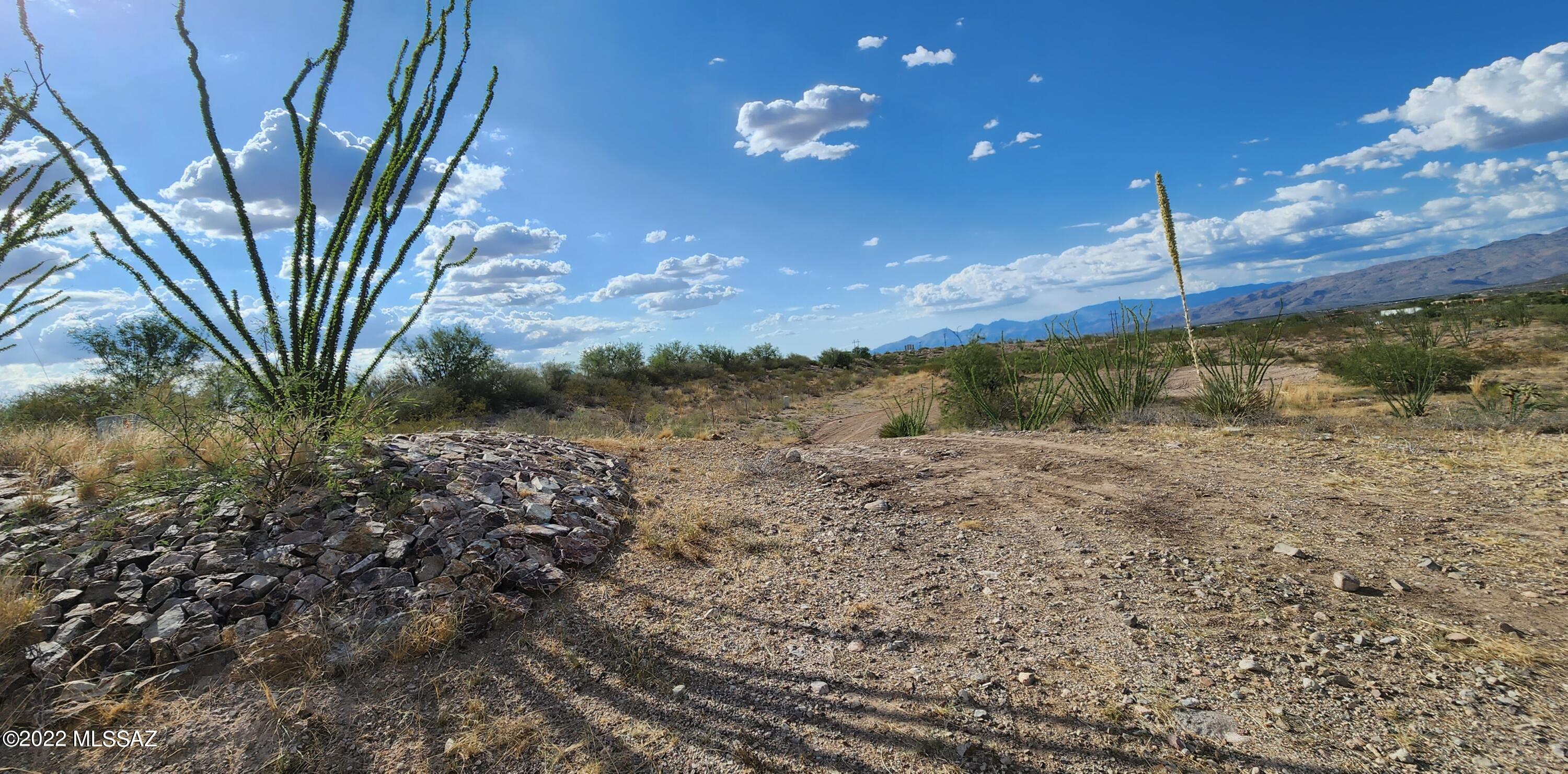 Mountain View Ranch (1-362) - Land