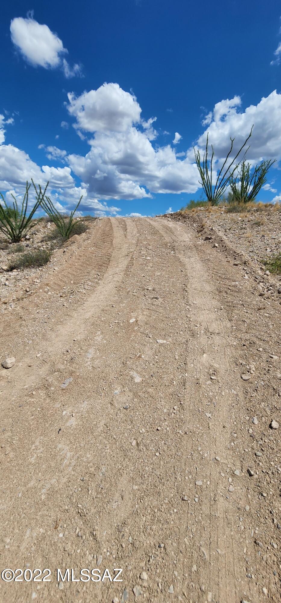 Mountain View Ranch (1-362) - Land