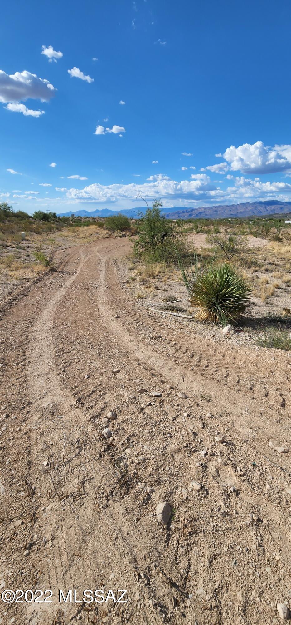 Mountain View Ranch (1-362) - Land