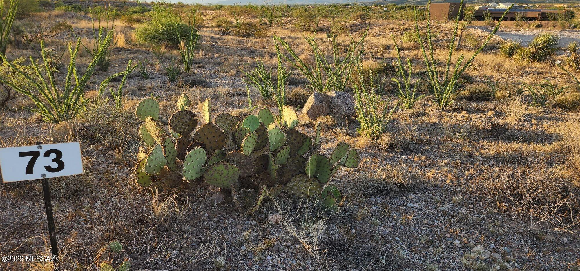 Mountain View Ranch (1-362) - Land