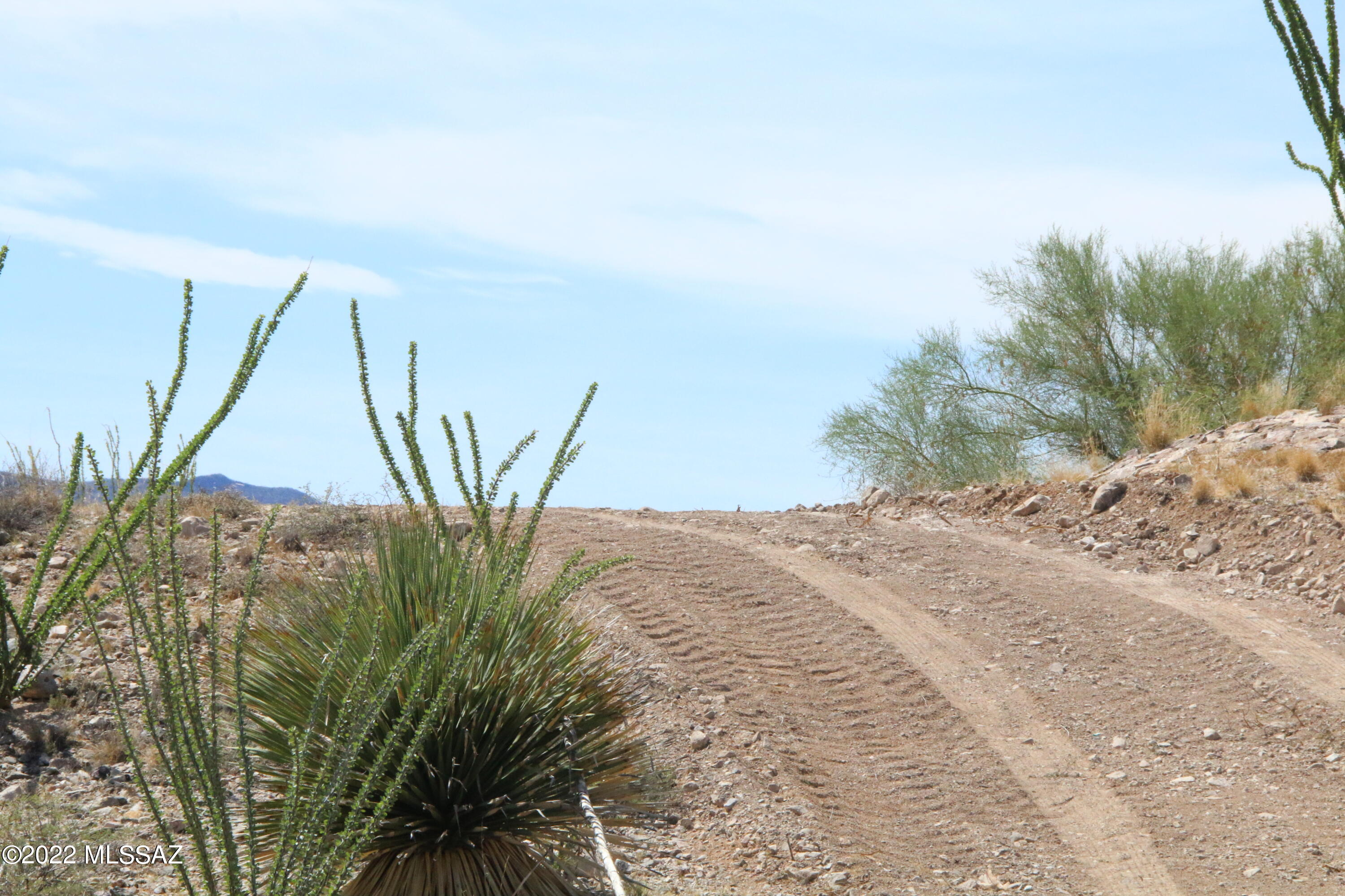 Mountain View Ranch (1-362) - Land