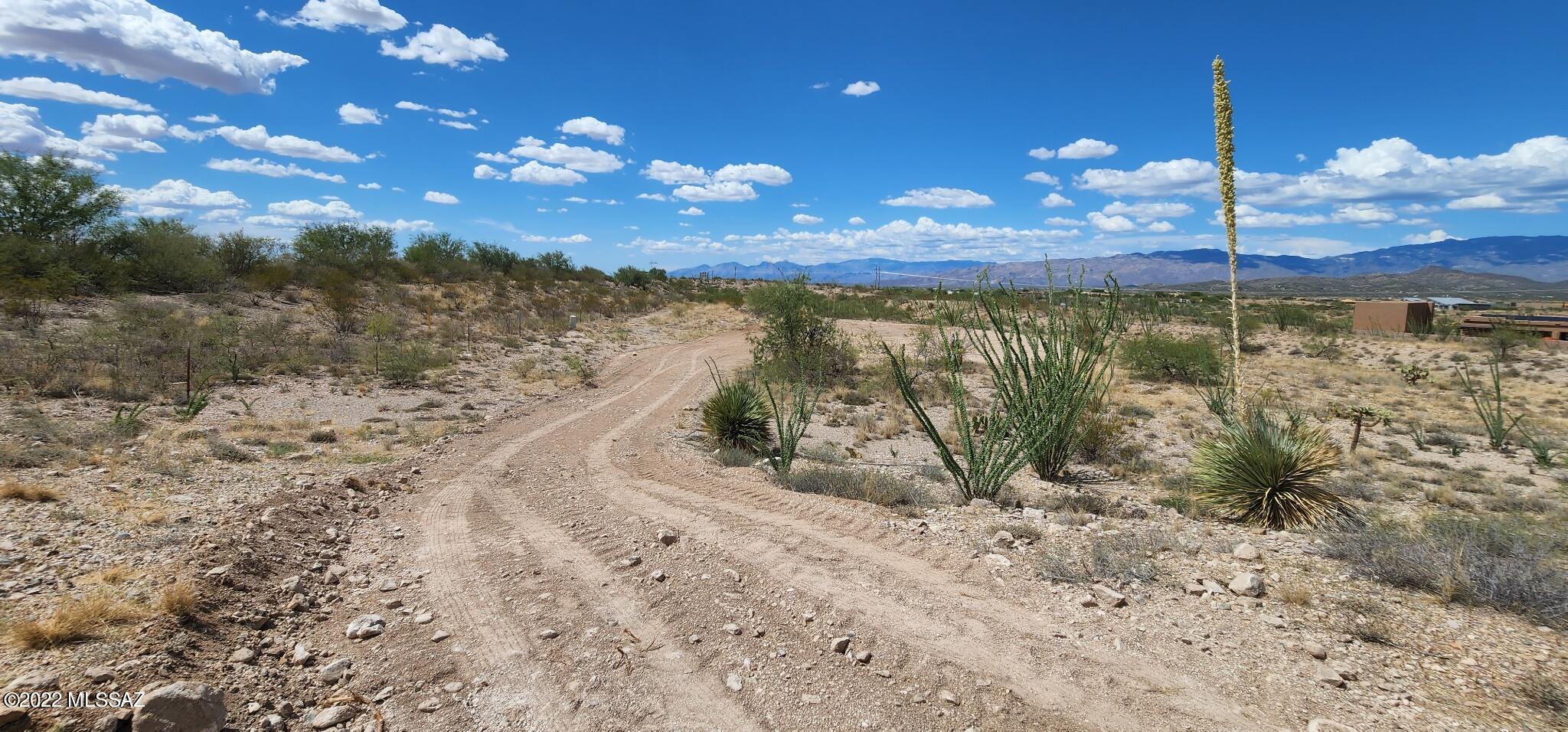 Mountain View Ranch (1-362) - Land