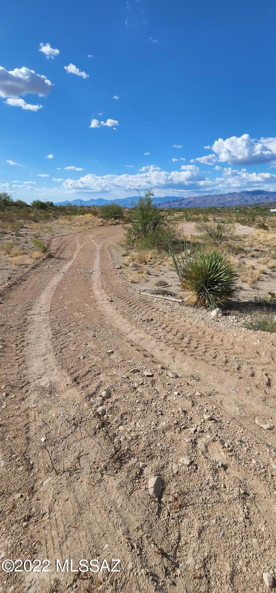 Mountain View Ranch (1-362) - Land