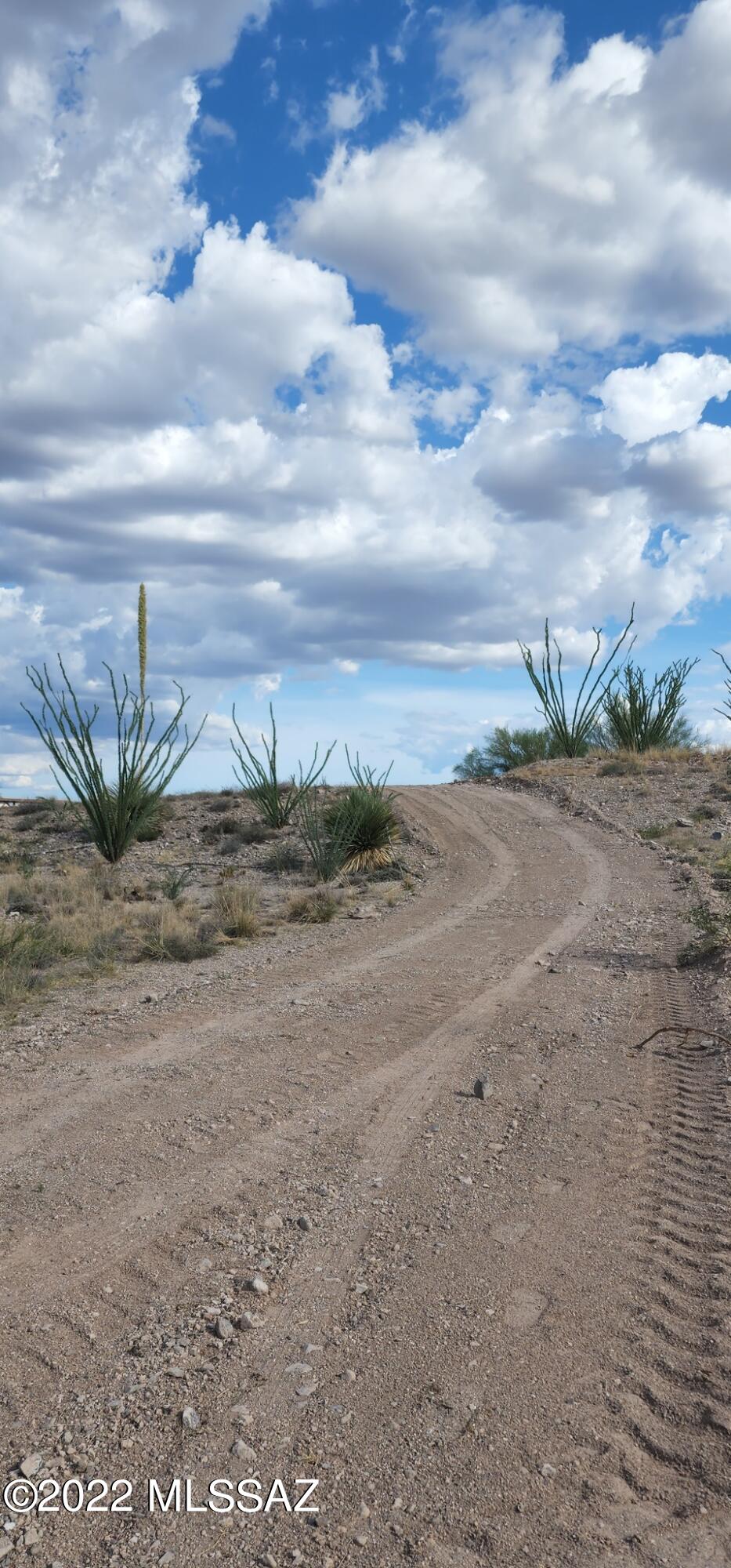 Mountain View Ranch (1-362) - Land