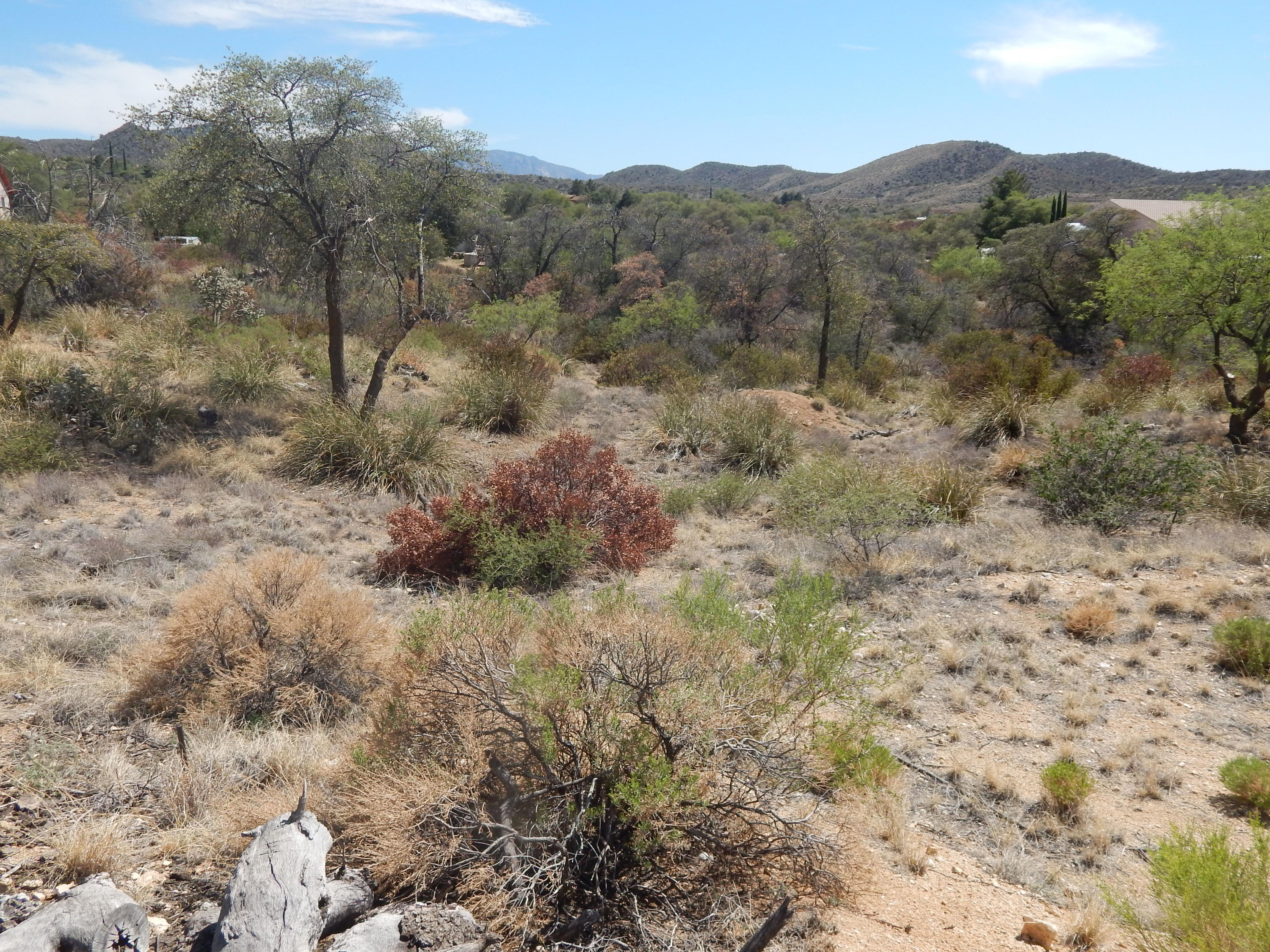 Great building lot with utilities at the lot line . 1.25 acres with good access off of paved road with mountain views.