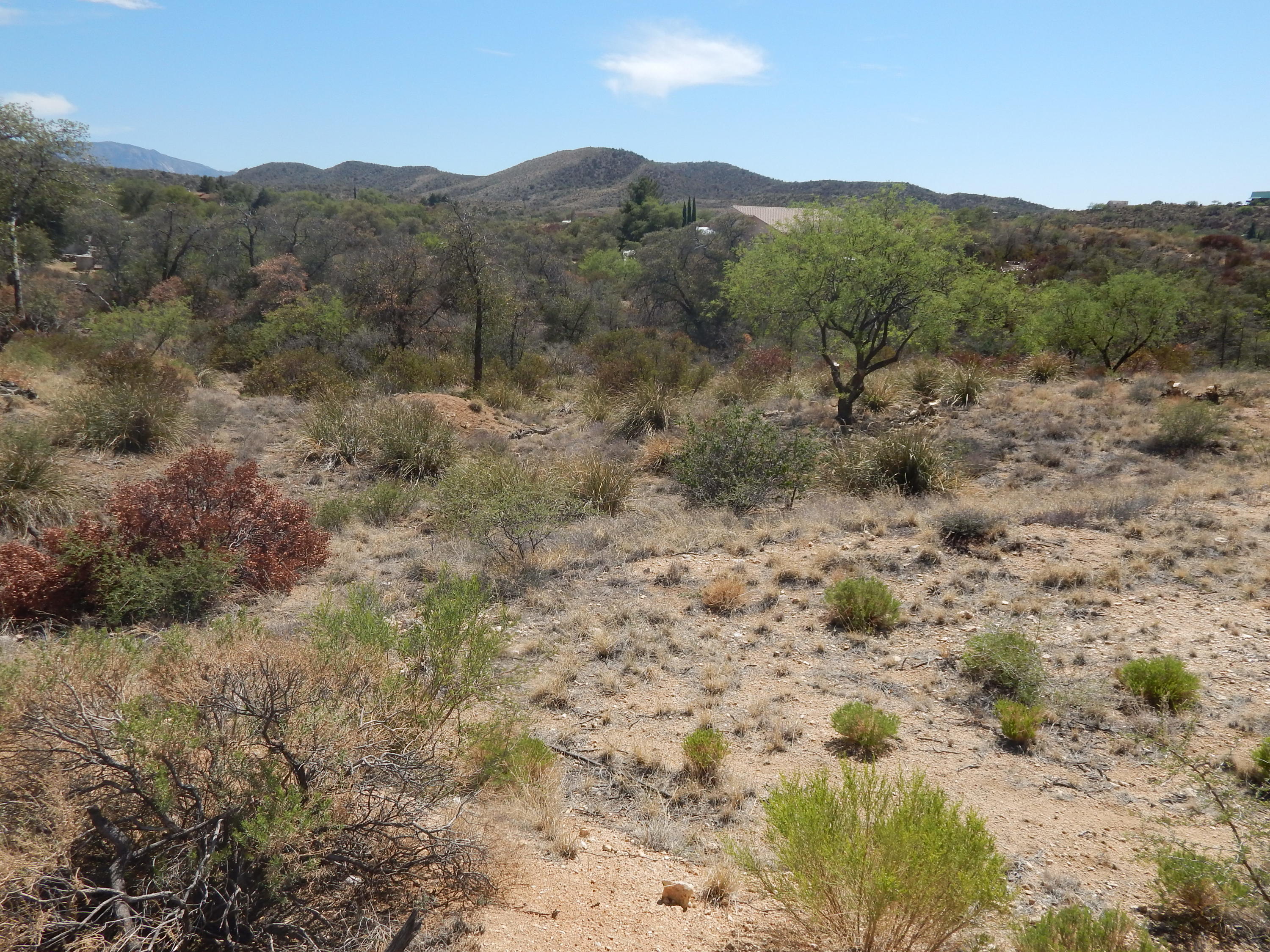 Out Of Pima County - Land