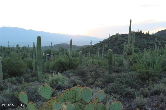 Stunning Sonoran Desert property with Saguaro cacti, lush flora and fauna! 3.34 acres waiting for you to build your dream home! Builder ready Lot, Survey, percolation, utility improvements information is available. Gated paved road to property. Be minutes away from the freeway, Downtown, University of Arizona. Owner/agent.