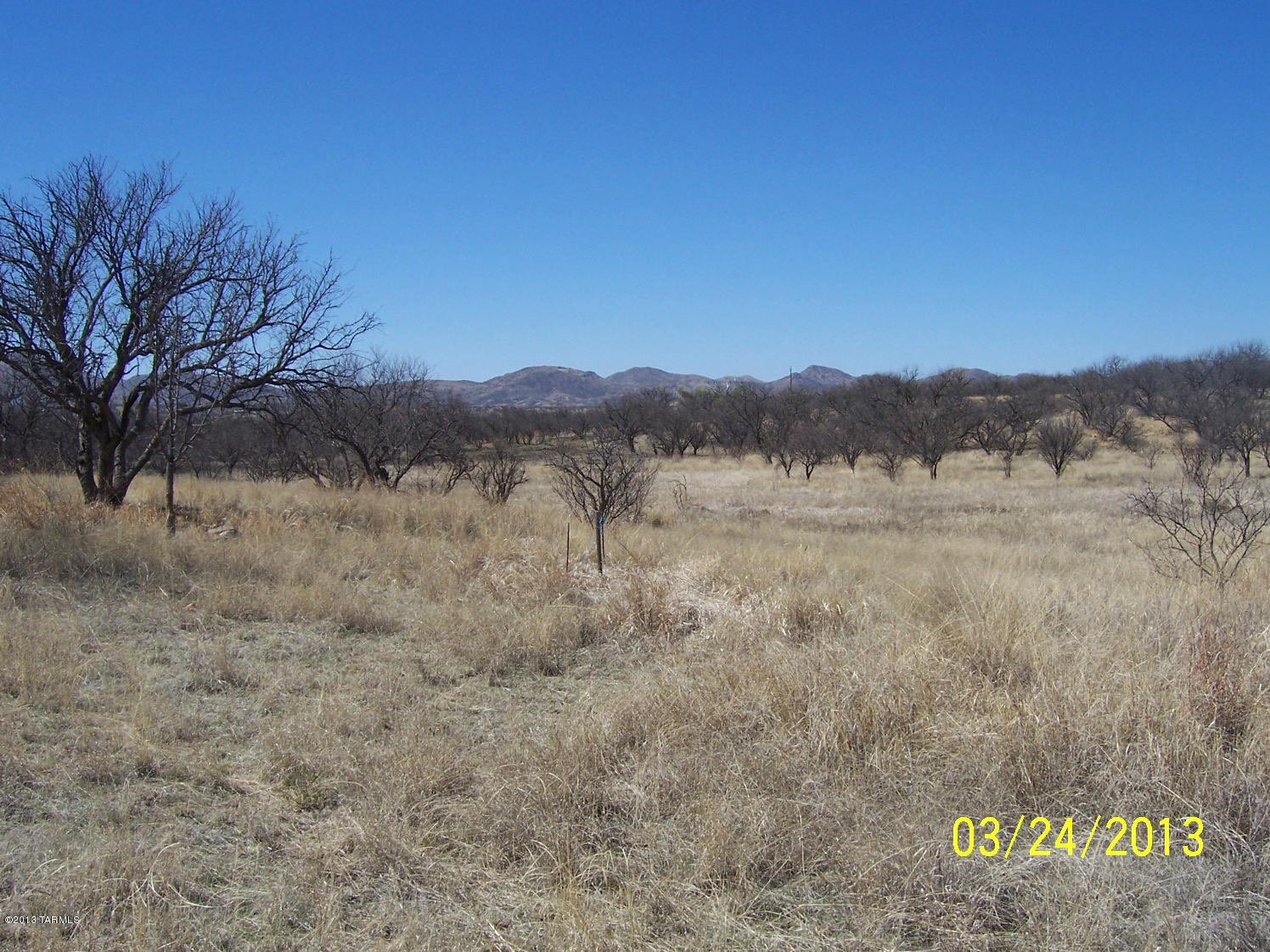 Arivaca Lake Est - Land